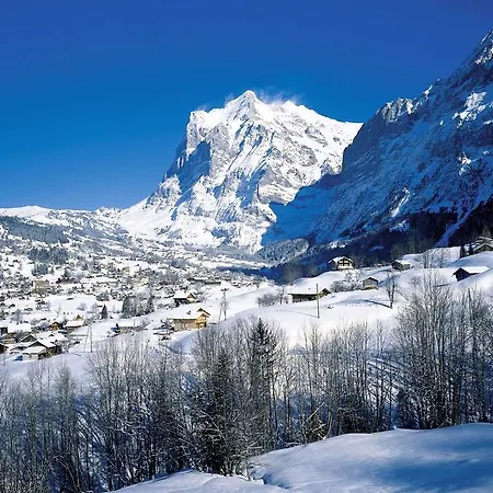 萨珀罗公寓 格林德瓦